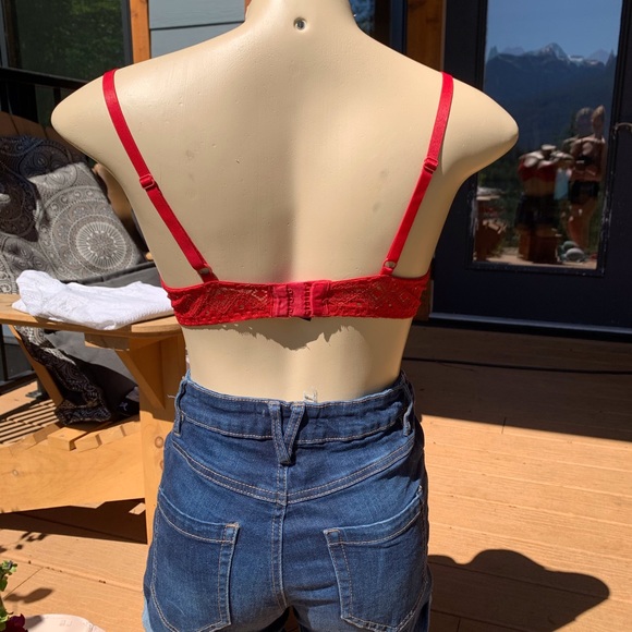 Bra Collection Sizes 36-C - Picture 3 of 9